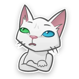🙄 cat, angry, white cat, cartoon, cross-eyed, pet, animal telegram sticker