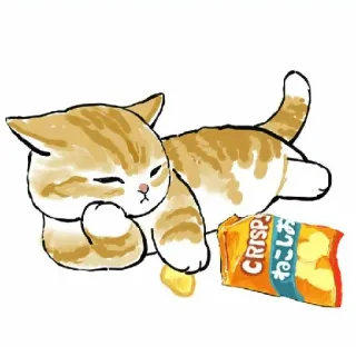 Abel's cat 1 whatsapp stickers