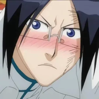 😳 Uryu Ishida Bleach anime, bleach, uryu ishidia, character, manga telegram sticker