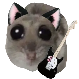 🎸 Sugar Glider Hello Kitty sugar glider, cat ears, guitar, hello kitty guitar, meme, cute, funny animal telegram sticker