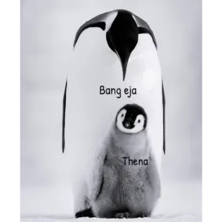 🐧 Bang eja
Thena pingwiny, ptaki, zwierzęta, słodkie, mały pingwin telegram sticker