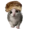 👒