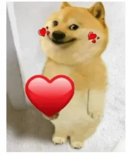 ❤️ Doge dog, shiba inu, heart, love, cute telegram sticker