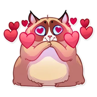 😍 gato, corações, amor, fofo, animal, adesivo whatsapp sticker