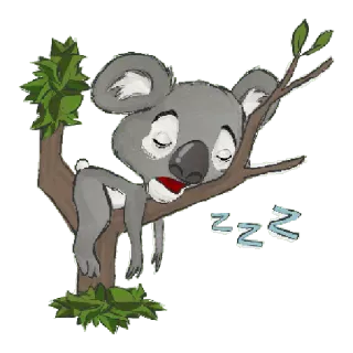 😴 zzz koala, sleeping, animal, tree, cute, cartoon telegram sticker