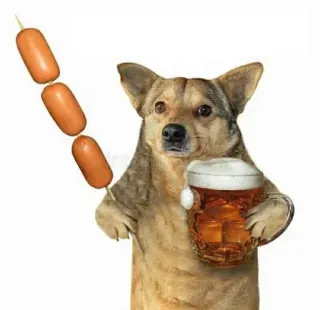 🤩 anjing, bir, sosis, alkohol, makanan, hewan, minuman, lucu whatsapp sticker