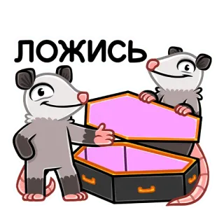 ⚰️ ЛОЖИСЬ zarigüeya, ataúd, animal, dibujos animados, gracioso, acostado whatsapp sticker