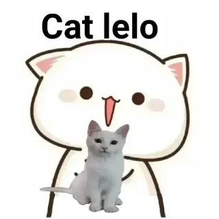 😋 Cat Ielo gato, animal, mascota, lindo whatsapp sticker