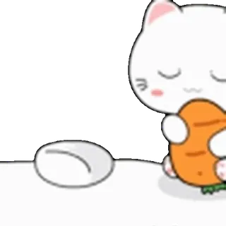 😴