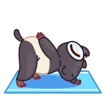 Tapir whatsapp stickers