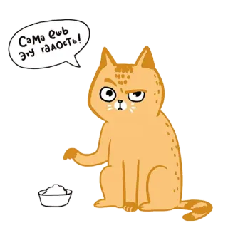 😵 Сама ешь эту гадость! gatto, arrabbiato, cibo, animale, divertente, meme telegram sticker