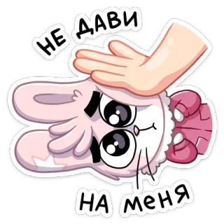 🙅‍♂️ НЕ ДАВИ НА МЕНЯ Hoạt hình, Động vật, Thỏ, Dễ thương, Biểu cảm, Chữ, Tay telegram sticker