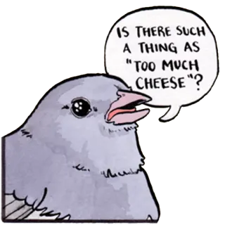 🧀 IS THERE SUCH AS THING AS "TOO MUCH CHEESE"? bird, cheese, question, animal telegram sticker