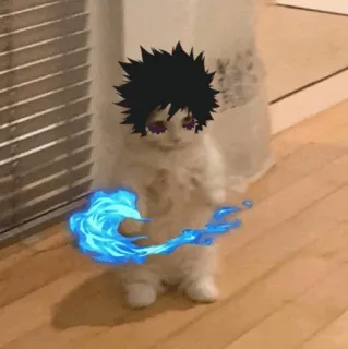 🐈 gato, anime, fogo, engraçado telegram sticker