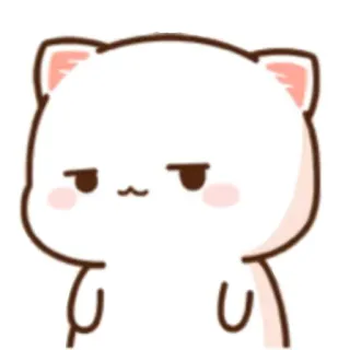 🍃 cat, cute, sticker, animal, cartoon telegram sticker