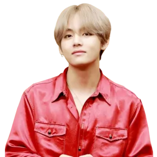 😊 V V, Kim Taehyung, BTS, K-pop, cantante, ritratto, maschio telegram sticker