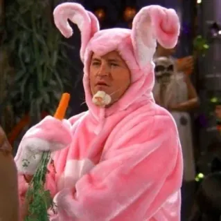 🥥 Chandler Bing Friends lapin, pâques, lapin, rose, déguisement, carotte telegram sticker