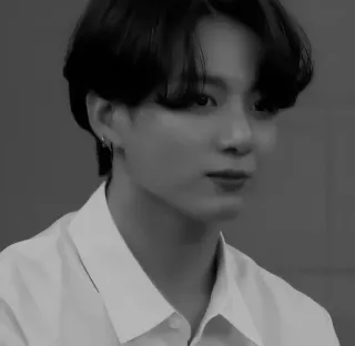 🌟 Jungkook kpop, 歌手, 人物, 名人, 黑白, 肖像 telegram sticker