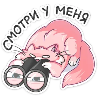 👀 СМОТРИ У МЕНЯ 猫, 双筒望远镜, 看, 粉色, 卡通 telegram sticker