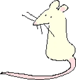 🐁 rat, mouse, animal, cartoon, cute, white whatsapp sticker