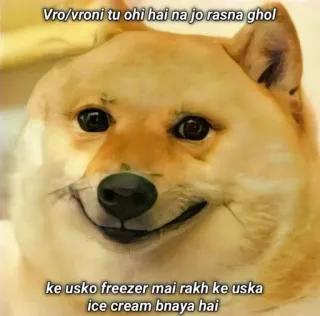 🌟 Doge Doge Meme Vro/vroni tu ohi hai na jo rasna ghol ke usko freezer mai rakh ke uska ice cream bnaya hai doge, meme, funny, shiba inu, dog, internet meme, satire telegram sticker
