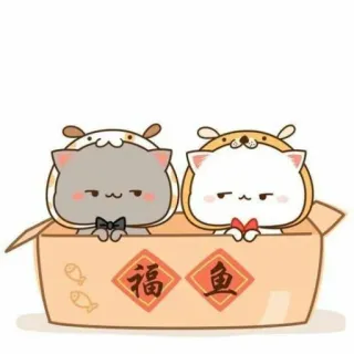 🐱 福鱼 chats, boîte, mignon, dessin animé, animal, autocollant, poisson telegram sticker