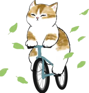 🍃 gato, bicicleta, animal, fofo, andando, folhas telegram sticker