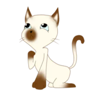 🙄 gatto, gattino, gatto siamese, gatto cartone animato, animale, carino whatsapp sticker
