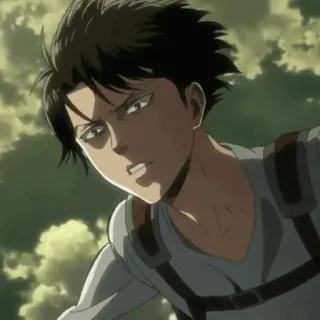 🖤 Levi Ackerman Attack on Titan Anime, Manga, Personage, Levi, Ackerman, Attack on Titan, Shingeki no Kyojin telegram sticker