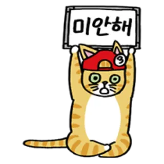 🐈 미안해 cat, cartoon, apology, sorry, korean telegram sticker