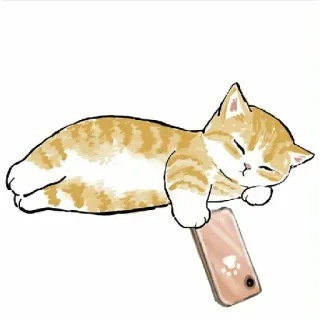 😀 gatto, gattino, dormire, telefono, animale domestico, carino, cartone animato telegram sticker