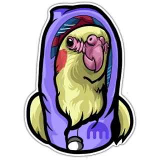 👍 왕관앵무, 새, 후드티, 귀여운, 동물, 애완동물, 스티커 telegram sticker