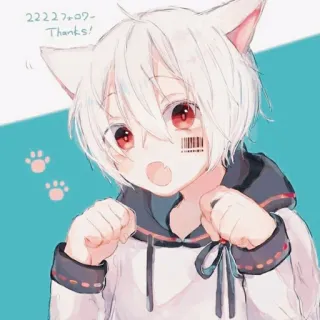 🇦🇱 2222フォロワーThanks! Anime, Kucing, Telinga kucing, Anak laki-laki, Lucu, Rambut putih telegram sticker