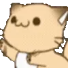 🐈