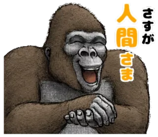 😆 さすが 人間さま gorila, rindo, animal, desenho animado, engraçado telegram sticker