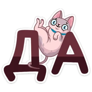 👍 ДА gatto, russo, sì, positivo telegram sticker