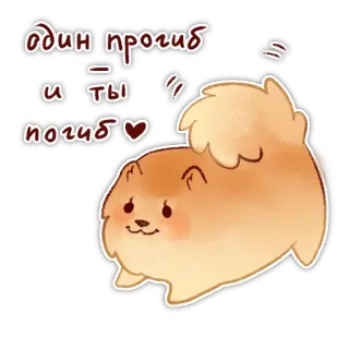😜 один прогиб и ты погиб หมา, น่ารัก, ปอมเมอเรเนียน, รัสเซีย, ข้อความ telegram sticker