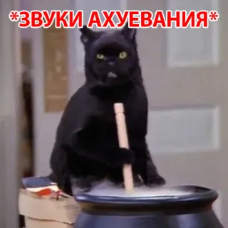 😱 *ЗВУКИ АХУЕВАНИЯ* 猫, 魔女, 魔法, ロシア語, テキスト, ユーモア telegram sticker