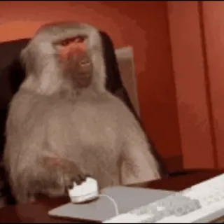 💻 Affe, Büro, Computer, Tier, Pavian whatsapp sticker