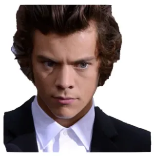 😠 Harry Styles harry styles, singer, celebrity, one direction, pop star telegram sticker