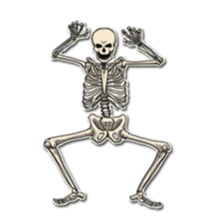 😉 scheletro, ossa, halloween, spaventoso telegram sticker