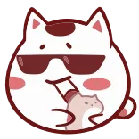 😎 kucing, kacamata hitam, keren, hewan, imut whatsapp sticker