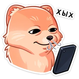😊 Хых chó, điện thoại, meme, hài hước, cười đểu, động vật telegram sticker