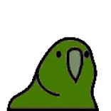 🦜 попугай, птица, зеленый, питомец, животное, милый whatsapp sticker