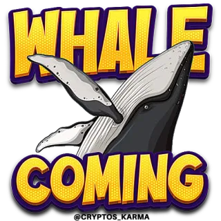🐋 WHALE COMING balena, animale, mare, oceano, in arrivo, mammifero, fauna selvatica telegram sticker
