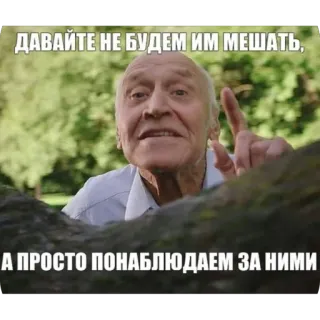 🫥 ДАВАЙТЕ НЕ БУДЕМ ИМ МЕШАТЬ,
А ПРОСТО ПОНАБЛЮДАЕМ ЗА НИМИ ミーム, 老人, 指差し, 見ている, 観察 whatsapp sticker