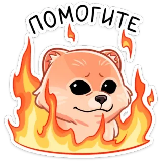 🔥 ПОМОГИТЕ chó, lửa, giúp đỡ, dễ thương, hoạt hình, khó khăn telegram sticker