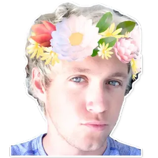 🌸 personne, couronne de fleurs, autocollant, portrait, homme telegram sticker