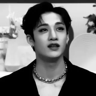 ♟ Bang Chan 方灿, Stray Kids, 韩流, 歌手, 偶像, 音乐人 telegram sticker