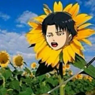 ☕️ Levi Ackerman Attack on Titan Anime, Fleur, Personnage, Fanart, L'Attaque des Titans, Levi Ackerman, Manga whatsapp sticker